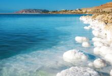 Минута отдыха Действительно ли Мёртвое море - мёртвое? Интересное 