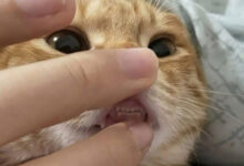 Минута отдыха Мем №1522328 Анекдоты 