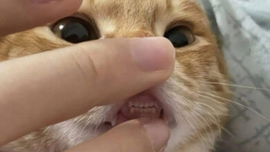 Минута отдыха Мем №1522328 Анекдоты 