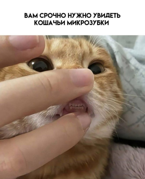 Минута отдыха Мем №1522328 Анекдоты  