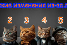 Минута отдыха Майские изменения в вашей жизни из-за луны! | Выберите ДВА КОТА! Интересное 