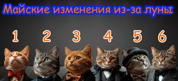 Минута отдыха Майские изменения в вашей жизни из-за луны! | Выберите ДВА КОТА! Интересное 