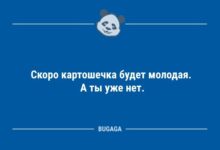 Минута отдыха Анекдотов пост: «Скоро картошечка будет молодая…» (10 шт) Анекдоты 