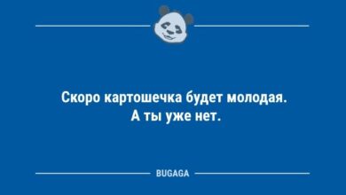 Минута отдыха Анекдотов пост: «Скоро картошечка будет молодая…» (10 шт) Анекдоты 