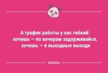 Минута отдыха Анекдоты в середине недели: «А график работы у нас гибкий…» (10 шт) Анекдоты 