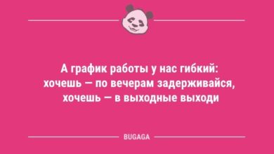 Минута отдыха Анекдоты в середине недели: «А график работы у нас гибкий…» (10 шт) Анекдоты 