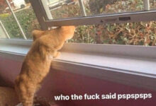 Минута отдыха Мем №1523568 Анекдоты 