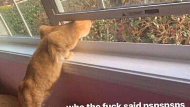 Минута отдыха Мем №1523568 Анекдоты 