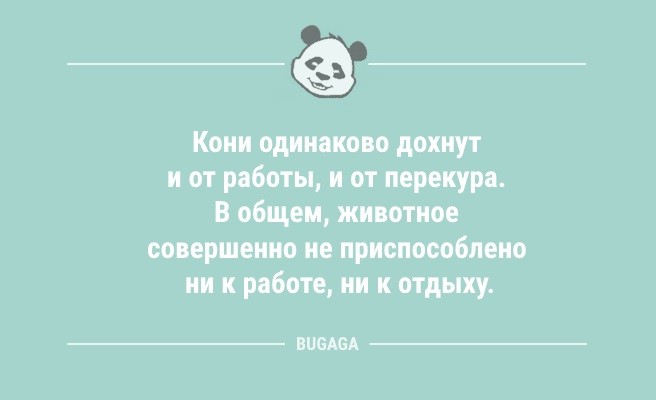 Минута отдыха Анекдоты посмеяться: «Летнее расписание…» (11 шт) Анекдоты  