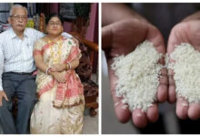 Минута отдыха От силиконовой памяти до рисового детектора: 3 невероятных факта об Индии Интересное 