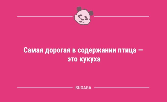 Минута отдыха Анекдоты в середине недели: «А график работы у нас гибкий…» (10 шт) Анекдоты  