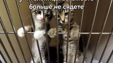 Минута отдыха Мем №1522976 Анекдоты 