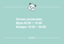 Минута отдыха Анекдоты посмеяться: «Летнее расписание…» (11 шт) Анекдоты 