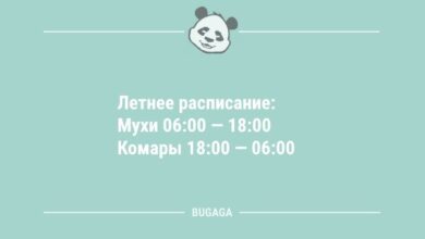 Минута отдыха Анекдоты посмеяться: «Летнее расписание…» (11 шт) Анекдоты  Минута отдыха Анекдоты посмеяться: «Летнее расписание…» (11 шт) Анекдоты