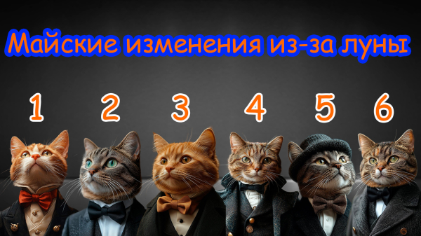Минута отдыха Майские изменения в вашей жизни из-за луны! | Выберите ДВА КОТА! Интересное 