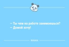 Минута отдыха Шутки и анекдоты: «Ты чем на работе занимаешься?..» (11 шт) Анекдоты 