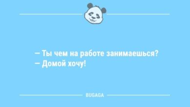 Минута отдыха Шутки и анекдоты: «Ты чем на работе занимаешься?..» (11 шт) Анекдоты 