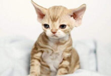 Минута отдыха Мем №1526515 Анекдоты 