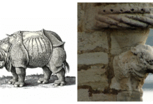 Минута отдыха История носорога, который покорил и потряс Европу Интересное 