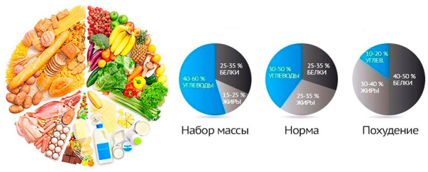 Минута отдыха Как начать вести здоровый образ жизни: рекомендации нутрициолога Полезности  
