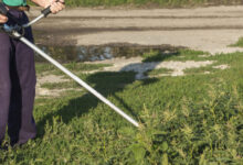 Минута отдыха Первые сто тысяч, которые я заработал Интересное 