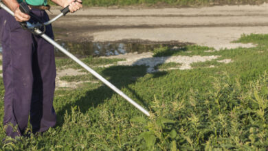 Минута отдыха Первые сто тысяч, которые я заработал Интересное  Минута отдыха Первые сто тысяч, которые я заработал Интересное