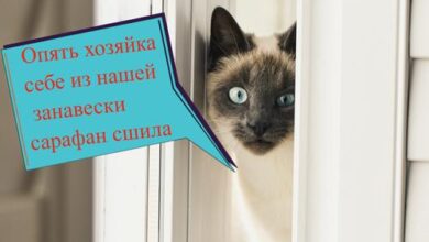 Минута отдыха Мятый кожаный пиджак и одежда из тюля: стилист Лисовец назвал тренды весны и лета Лайфстайл  Минута отдыха Мятый кожаный пиджак и одежда из тюля: стилист Лисовец назвал тренды весны и лета Лайфстайл