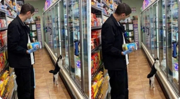 Минута отдыха Когда братья наши меньшие отправились на шопинг Животные  