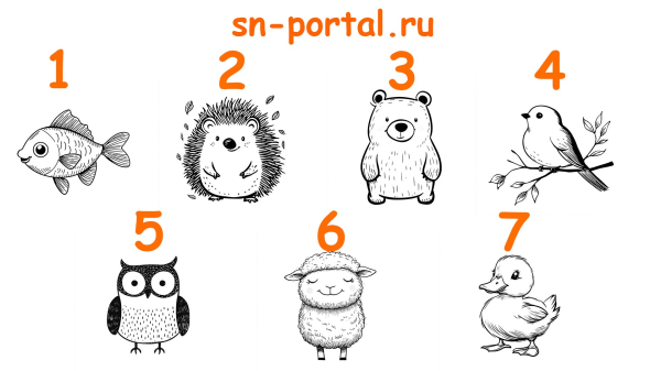 Минута отдыха ✨ Какое послание готовит для вас космос? Выберите животное на фото! Интересное  
