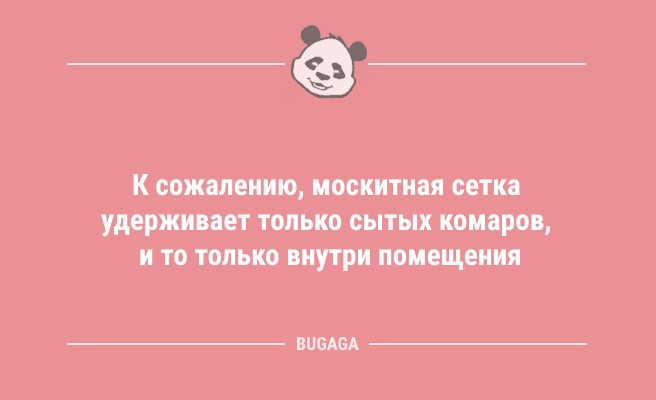 Минута отдыха Анекдотов пост: «Больше всего глупостей в течение дня…» (9 фото) Анекдоты  