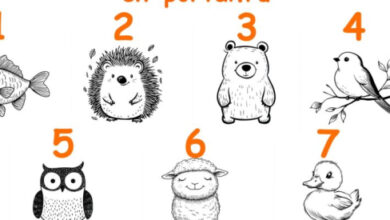 Минута отдыха ✨ Какое послание готовит для вас космос? Выберите животное на фото! Интересное 