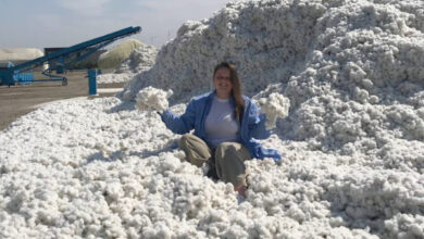 Минута отдыха «Для моих новых друзей русская еда была экзотикой». Студентка — об учебе в Венгрии и Узбекистане Дети  Минута отдыха «Для моих новых друзей русская еда была экзотикой». Студентка — об учебе в Венгрии и Узбекистане Дети