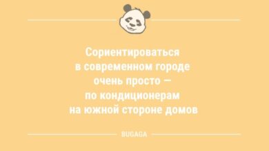 Минута отдыха Анекдоты в середине недели: «Сориентироваться в современном городе очень просто…» (8 шт) Анекдоты 