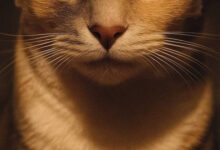 Минута отдыха Мем №1536344 Анекдоты 