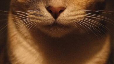 Минута отдыха Мем №1536344 Анекдоты  Минута отдыха Мем №1536344 Анекдоты