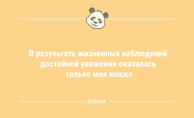 Минута отдыха Анекдоты в середине недели: «Сориентироваться в современном городе очень просто…» (8 шт) Анекдоты  