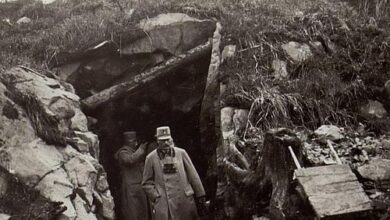 Минута отдыха Неизвестные подробности битвы под Прохоровкой в 1943 году История  Минута отдыха Неизвестные подробности битвы под Прохоровкой в 1943 году История