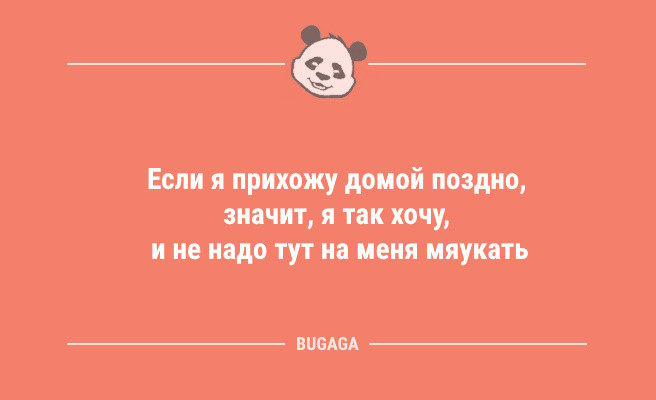 Минута отдыха Анекдоты в конце недели: «Больше всего в моей утренней пробежке мне нравится… (9 фото) Анекдоты  