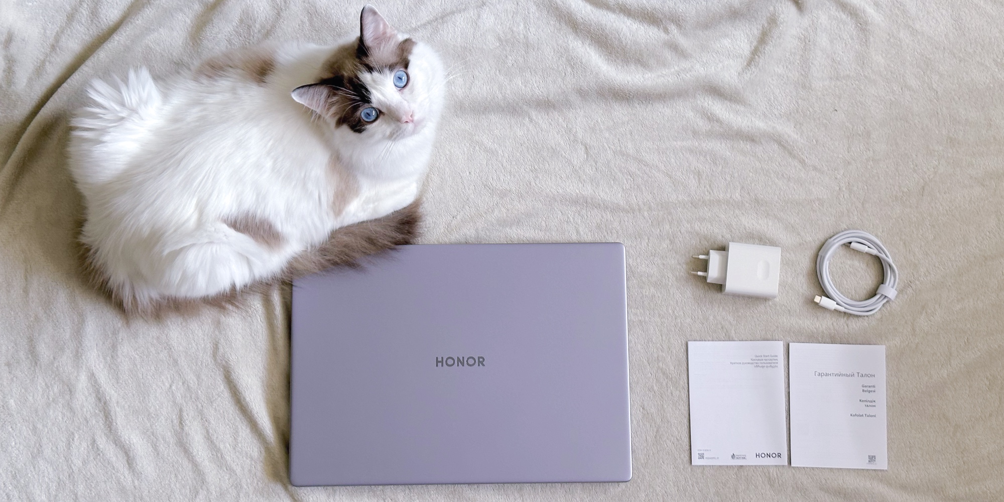 Обзор Honor MagicBook X16 AMD 2025 — бюджетного офисного ноутбука, на котором можно играть