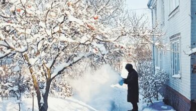 Минута отдыха Февральский фронт дачных работ Сад огород  Минута отдыха Февральский фронт дачных работ Сад огород