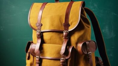 Минута отдыха Многие из мировых звёзд не осилили школьную программу Шоу-бизнес 