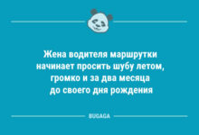 Минута отдыха Свежие анекдоты: «Жена водителя маршрутки…» (12 шт) Анекдоты 