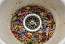 Минута отдыха Главные рассадники микробов – раковина и мобильный телефон Полезности эксклюзив раковина мобильный телефон микробы бактерии 