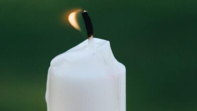 Минута отдыха В Питере в последний путь проводили актрису Анну Кузнецову и актера Дмитрия Гранкина Культура 