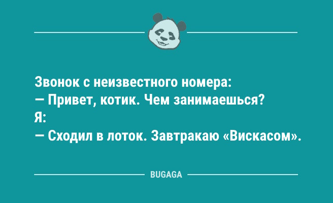 Минута отдыха Анекдоты для пятничного настроения: «Однажды меня спросят, на чём окрошка лучше…» (12 фото) Анекдоты  