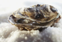 Минута отдыха Что находится внутри жемчужины? Интересное 