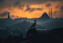 Минута отдыха Российские «Искандеры» накрыли тренировочный лагерь неонацистов Армия 