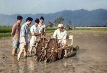 Минута отдыха Любопытные фотографии из прошлого стран Азии Интересное 