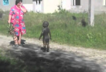 Минута отдыха Откуда пришло и как попало в русский язык слово «форс-мажор» Интересное 