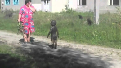 Минута отдыха Откуда пришло и как попало в русский язык слово «форс-мажор» Интересное 